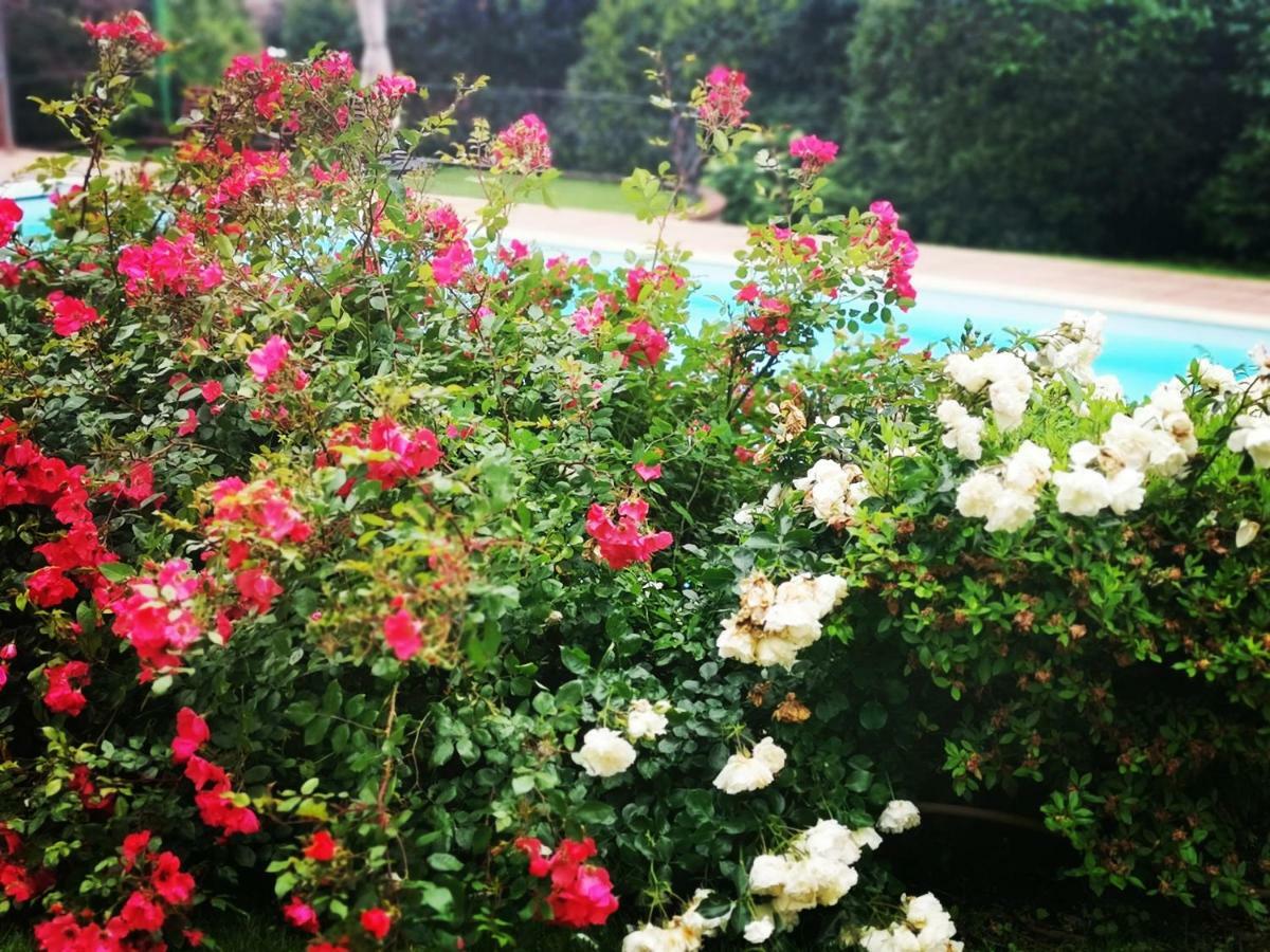 Villa Erre - Literary B&B Lanzo Torinese Εξωτερικό φωτογραφία